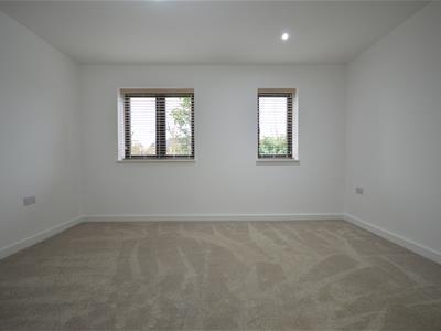 Picture 39